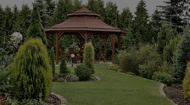 Hamilton Garden Design